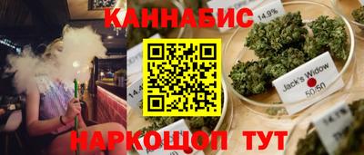 дмт Пушкино