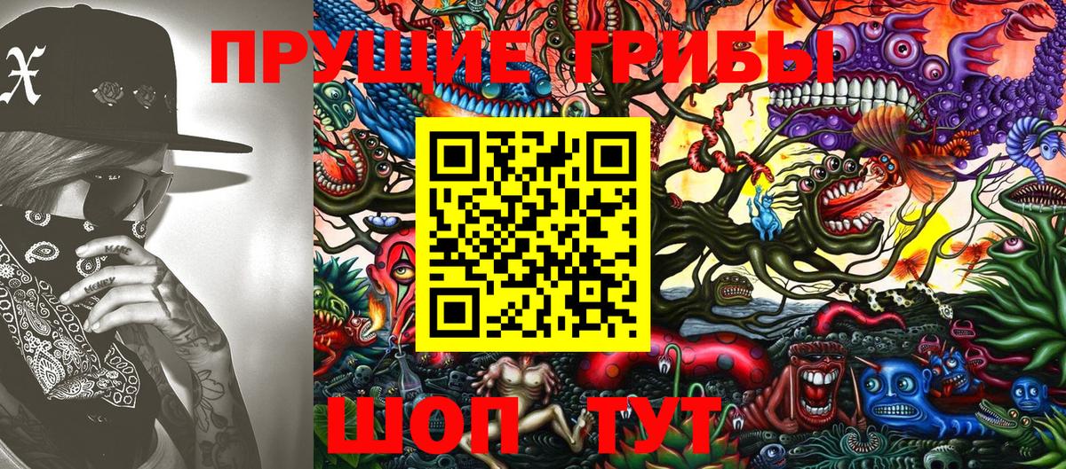 Нурлат  Псилоцибиновые грибы MAGIC MUSHROOMS  Вход с VPN 